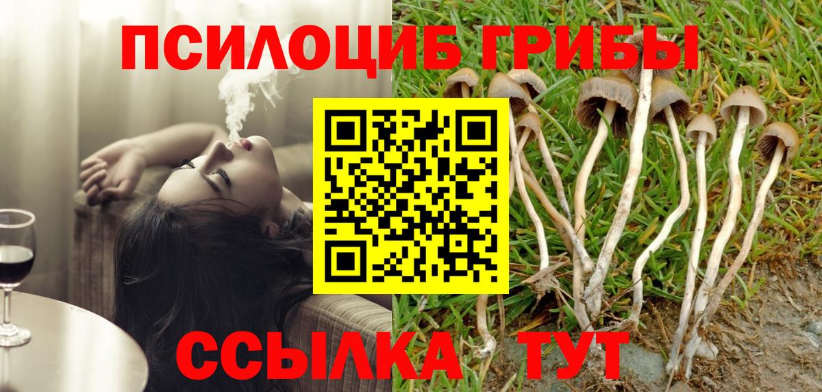 Галлюциногенные грибы Psilocybe  Псилоцибиновые грибы Psilocybe  Вход с VPN  Ахтубинск 